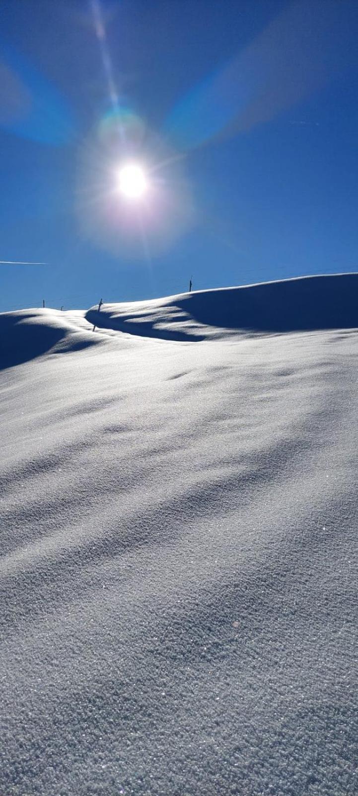 Traumplatz Im Allgaeu Rettenberg Esterno foto